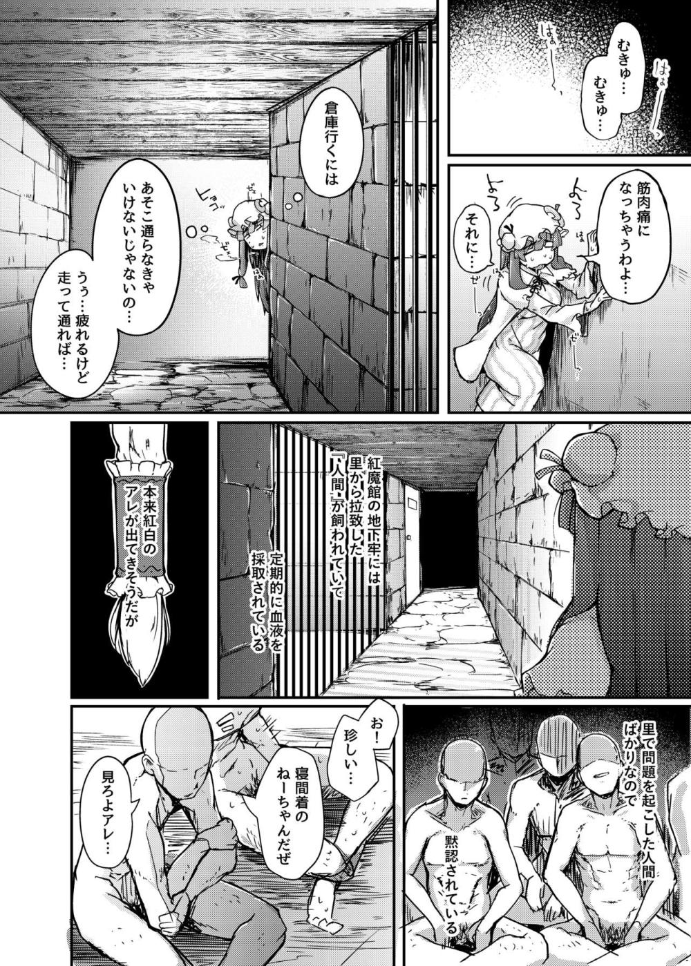 【東方Project】地下牢に閉じ込められている男たちが勃起している姿をみて欲情したパチュリーが壁から出た巨根に我慢できず挿入させちゃう壁越しセックス3