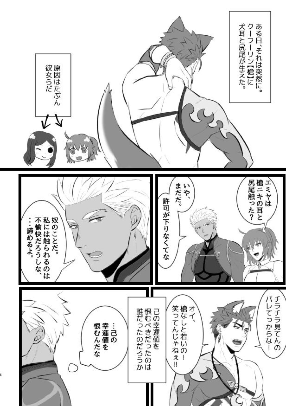 【BL漫画 Fate】ケモミミが生えてきてしまったランサーに発情期が来てしまい魔力供給する為にボーイズラブエッチしちゃうアーチャー8