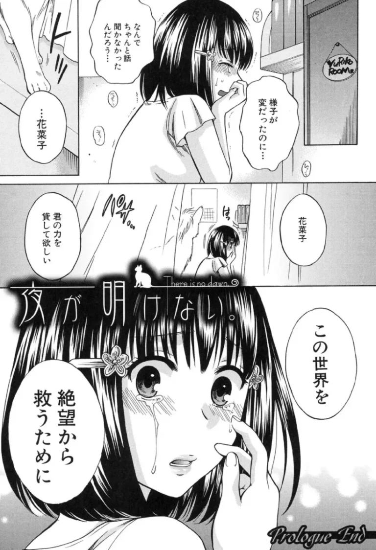 本当は妹の彼氏が大好きなお姉ちゃんの可愛い女子校生が2人の幸せを守るため魔法少女になり告白もキスも何も出来ないまま男たちの欲望を受け止め処女を失い快楽に堕とされちゃうネトラレ絶頂セックス37