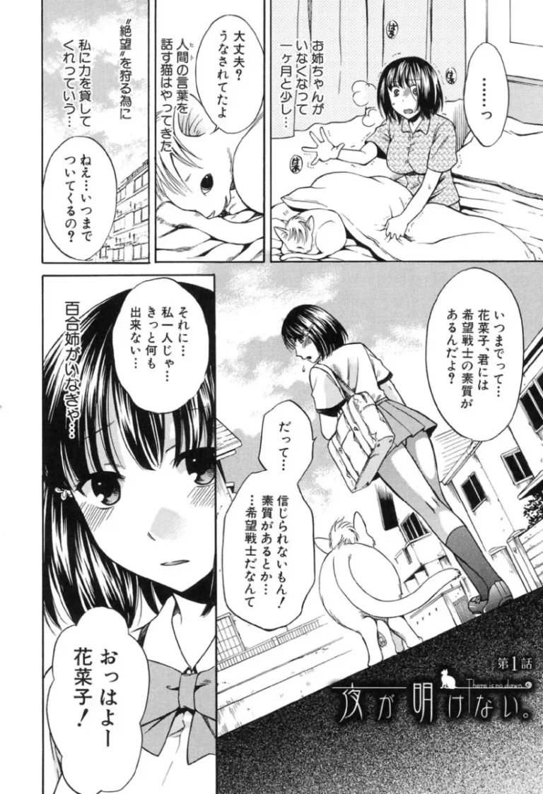 本当は妹の彼氏が大好きなお姉ちゃんの可愛い女子校生が2人の幸せを守るため魔法少女になり告白もキスも何も出来ないまま男たちの欲望を受け止め処女を失い快楽に堕とされちゃうネトラレ絶頂セックス39