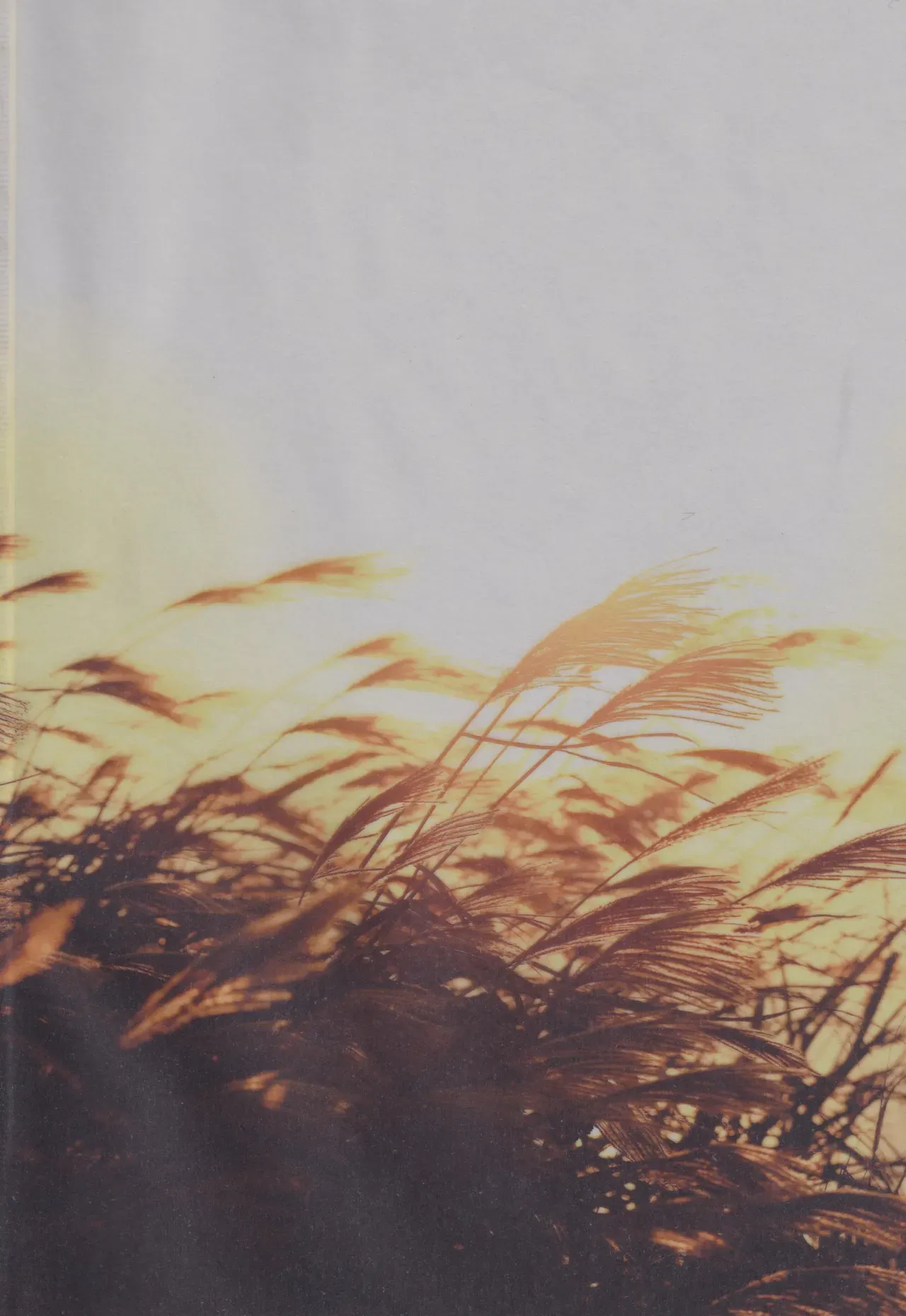 【犬夜叉】神事があるまでの半月間は毎日禊をして犬夜叉と触れ合うことができなかった日暮かごめがようやく神事を終えてキスをしたら我慢できなくなりスリリングな状態で求め合っちゃうラブラブエッチ2