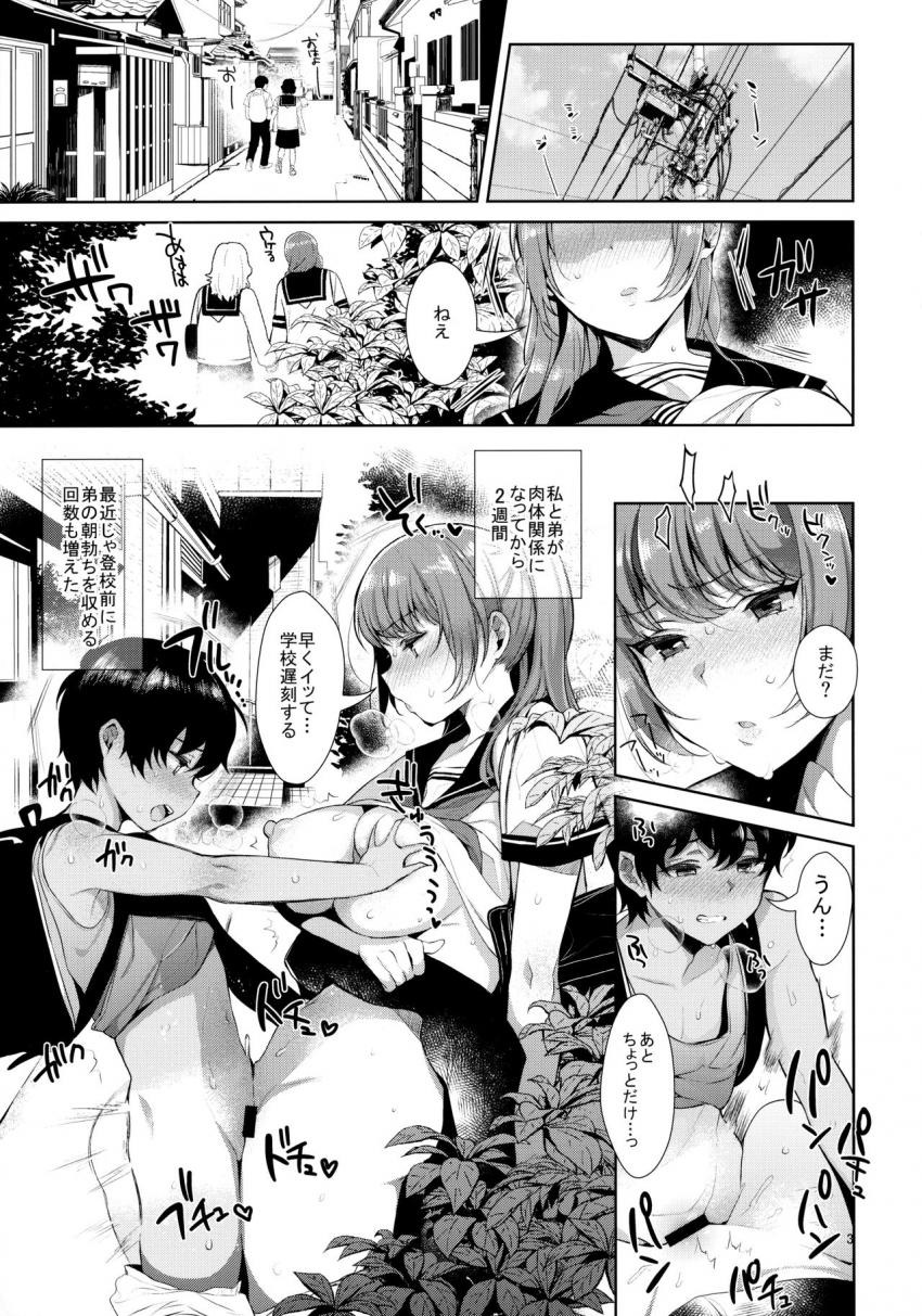 多感な時期を過ごす性欲強めの女子校生のお姉ちゃんと大人しい義理のショタ弟が体の関係を持ってしまい一度知ってしまった快感を忘れる事が出来ずに何度も求め合う禁断セックス3