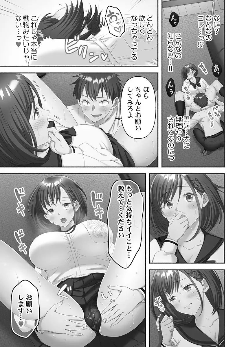 1年間オナニーを我慢して女学園に編入する事が出来た賢者男子が禁欲でムラムラが止まらない可愛い女子校生たちと性欲爆発セックス77