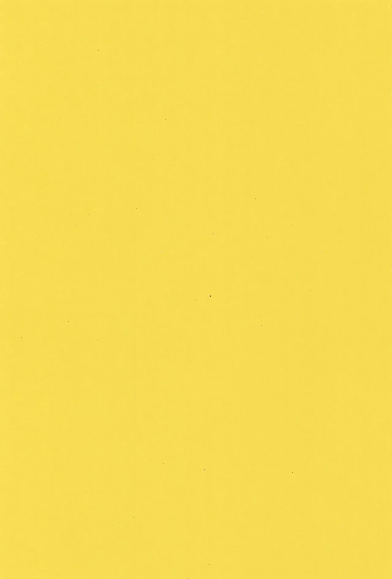 ビーチに遊びに来た貧乳ロリカワ美少女2人組が強面のお兄さんたちに強引にオイルを塗ってあげると近づかれて無理やり処女を奪われちゃうドキドキ初体験エッチ3